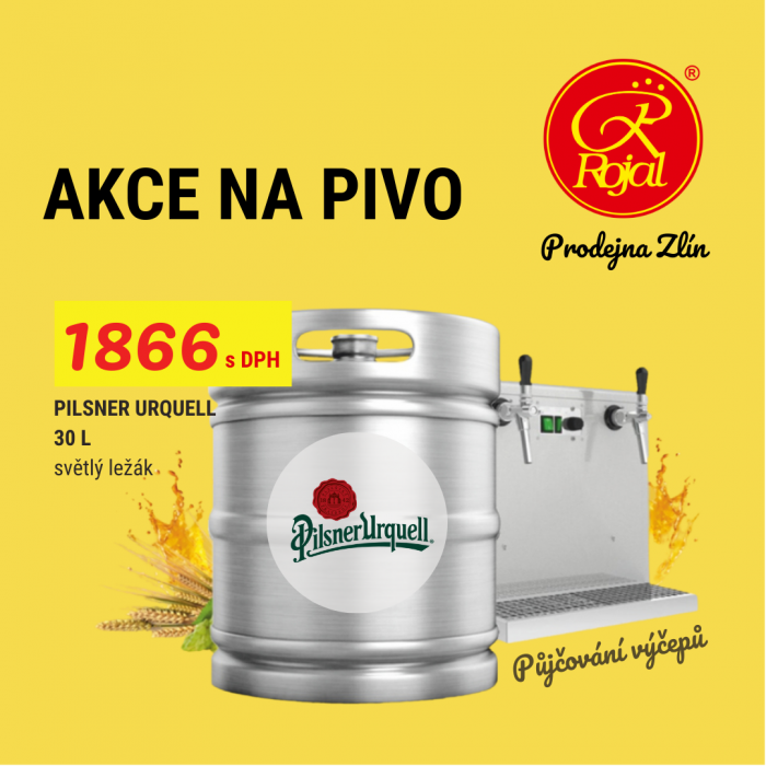 Pilsner v Rojalu